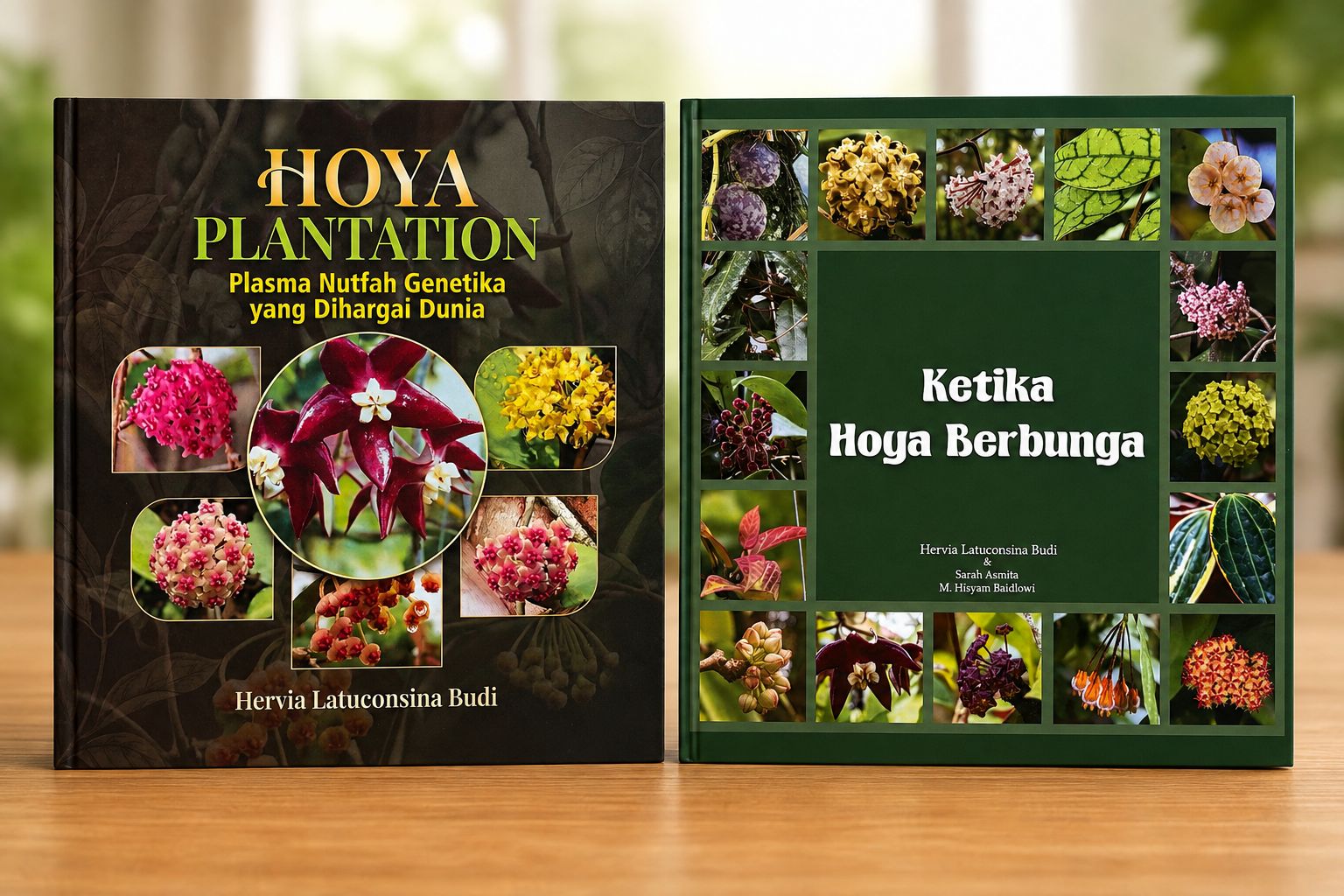 Buku Ketika Hoya Berbunga dan Hoya Plantation